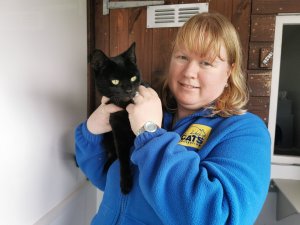 Volunteer Cat Fosterers Desperately Needed as the Cost-of-Living Crisis Bites