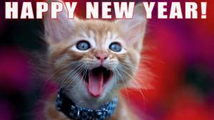 A Happy New Year From Katzenworld