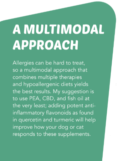 Can CBD Help Animals with Allergies?