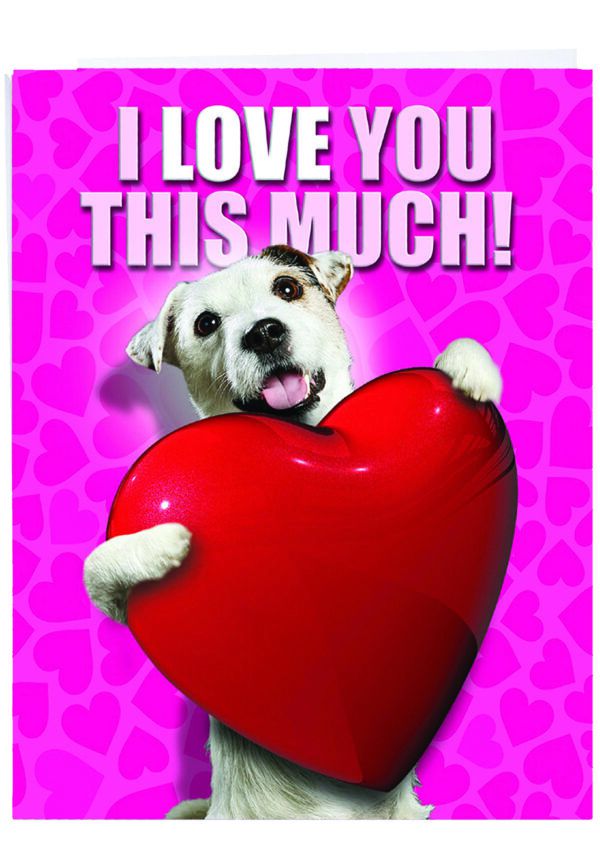 5 Fur-tastic Dog Themed Valentine Cards