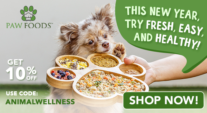 Give Your Dog a Fresh Start with Fresh Food!