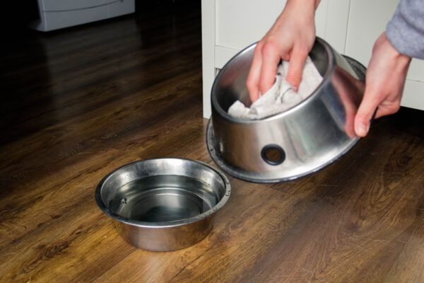 Pet Cleaning Products You Need for Living with Your Dog