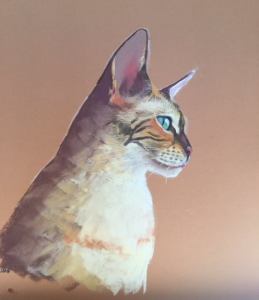 The Friday Art Cat: Yuki the Snow Bengal