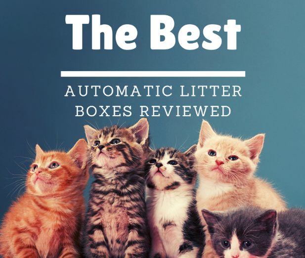 Best Automatic Litter Box (Self-Cleaning Boxes) Reviewed