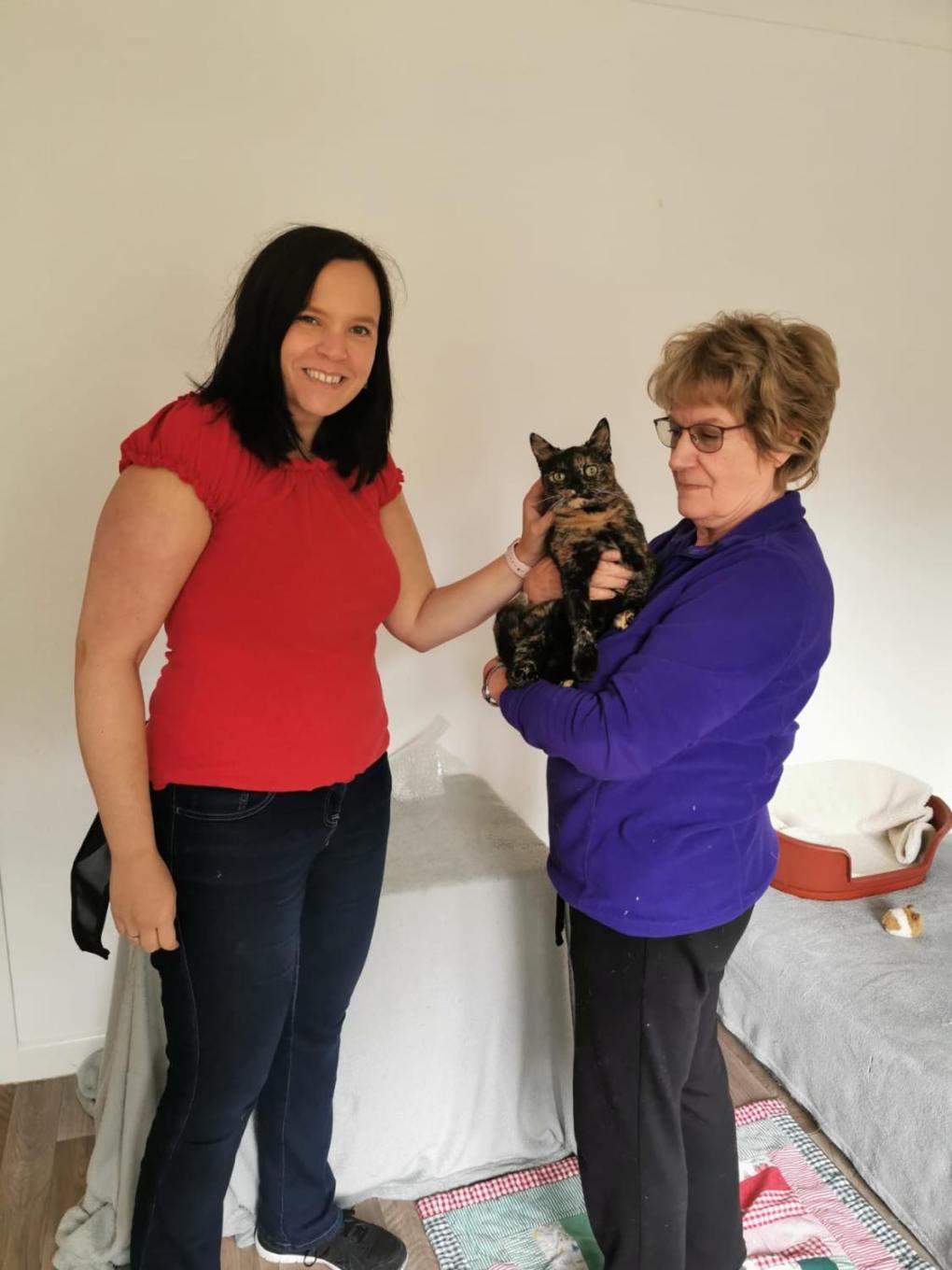 ‘Cat Crazy’ Maureen is Surro-cat mum to 200 Moggies to Help RSPCA