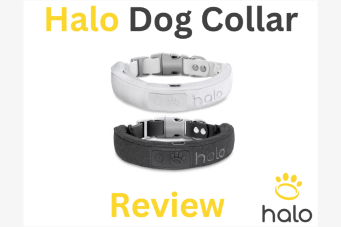 Halo Collar Review: GPS Dog Collar & Wireless Virtual Fence