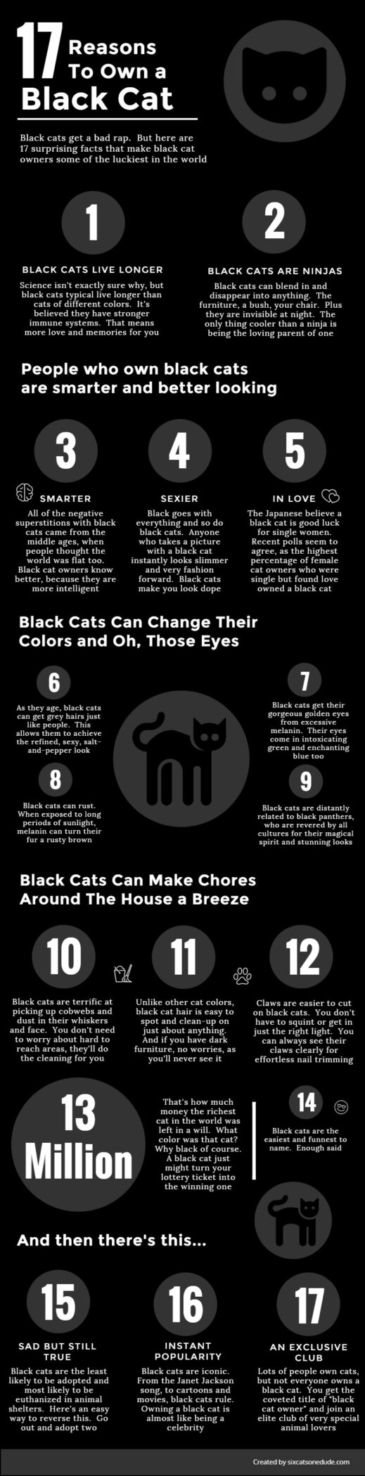 Infographic: 17 Reasons to “own” a Black Cat