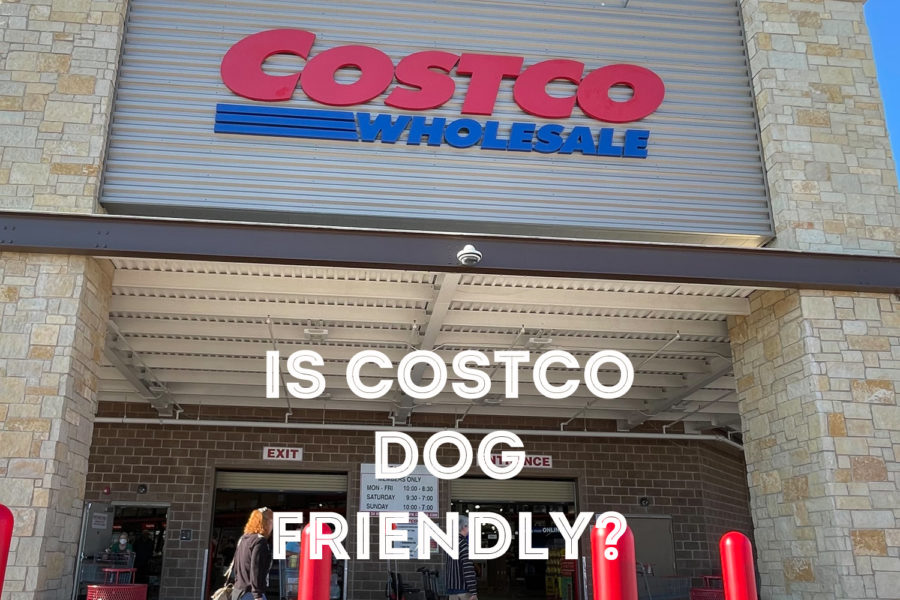 Is Costco Dog Friendly?