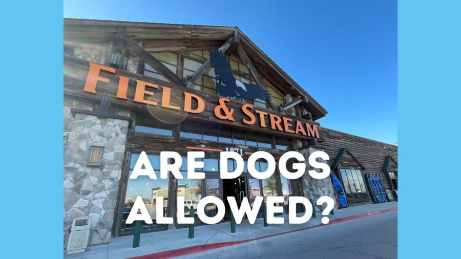 Is Field & Stream Dog Friendly?
