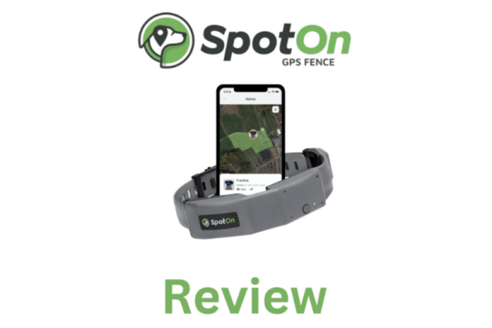 SpotOn Virtual Smart Fence Review: Best GPS Collar on the Market?