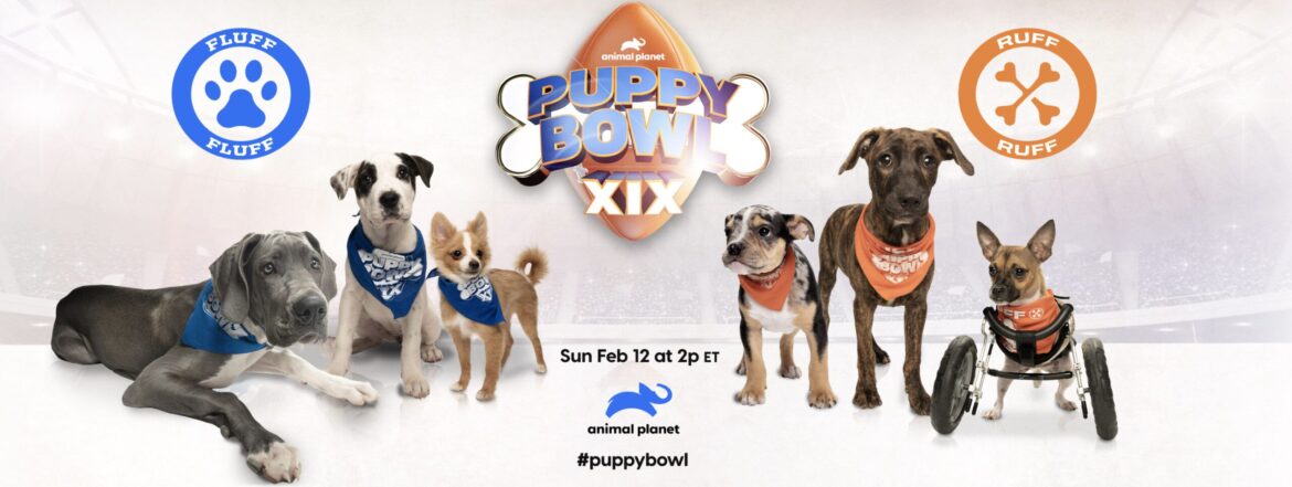The Puppy Bowl is Back for 2023