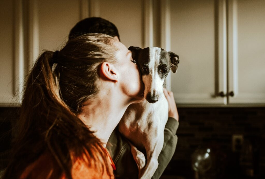 Top 5 Ways To Show Your Pet Love This Valentine’s Day
