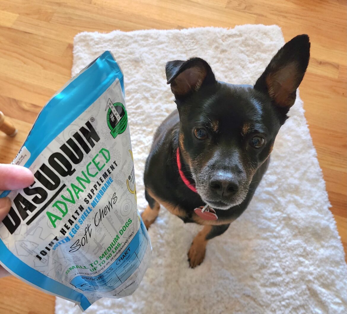 What Should You Know About Glucosamine for Dogs
