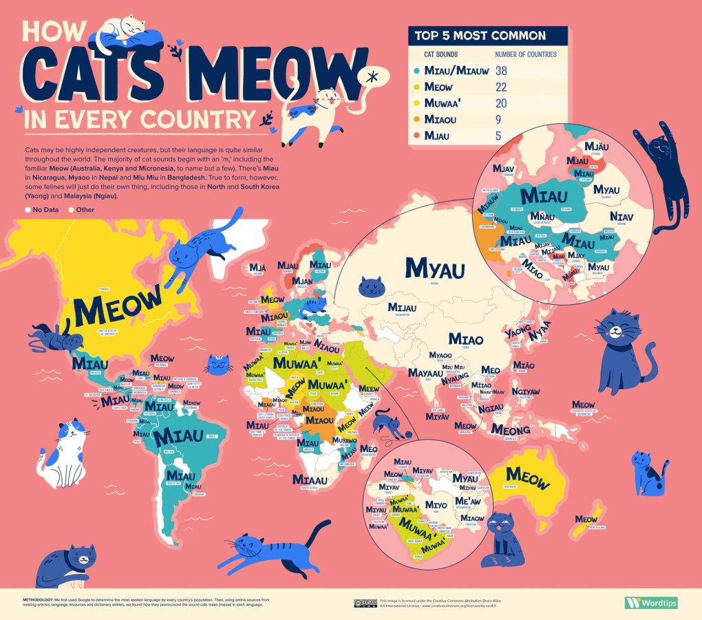 How Cats Meow and Dogs Bark in Every Country