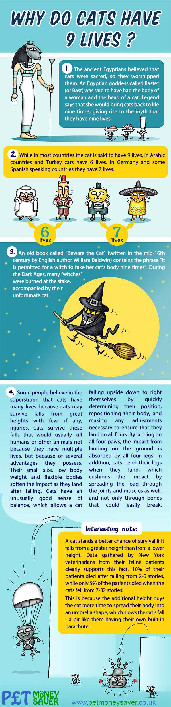 Infographic: Why do cats have 9 lives