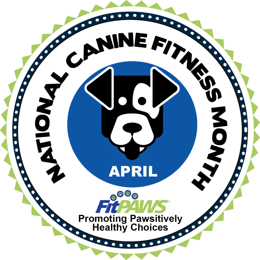 National Canine Fitness Month: A Month to Celebrate and Improve Your Dog’s Health!