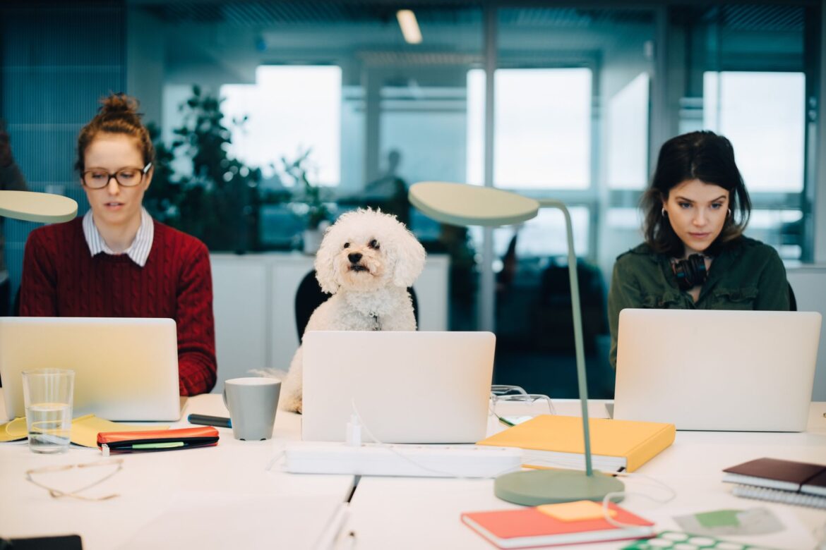 Take Your Dog to Work Day: What You Must Know