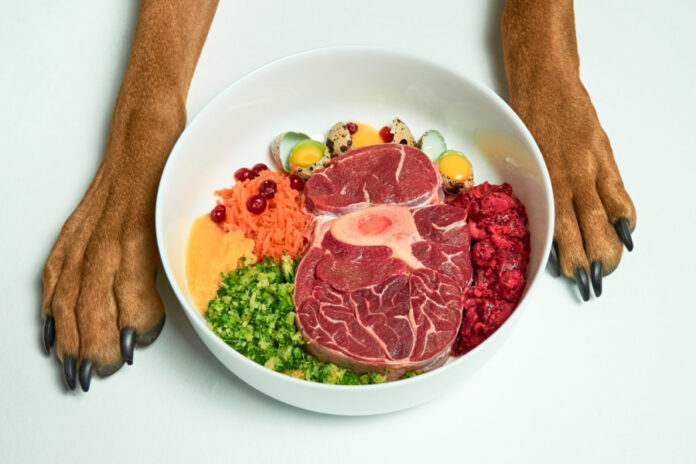 Why Dogs Need Variety in Their Food