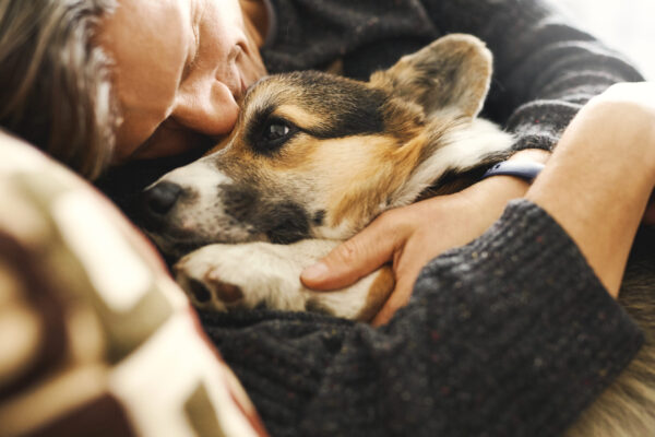Why Some Pet Parents Choose In-Home Euthanasia