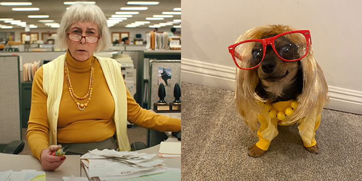 Jamie Lee Curtis Triumph Inspires Rescue Dogs to Dress Like Her