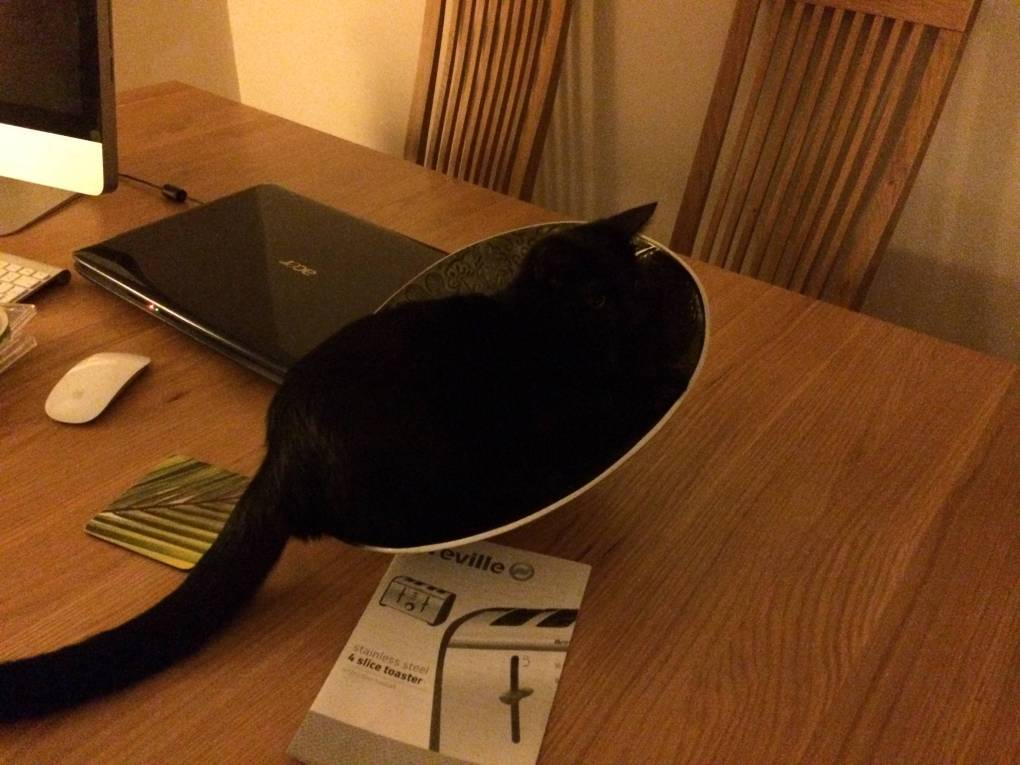 Nubia: What this is not a cat bowl?