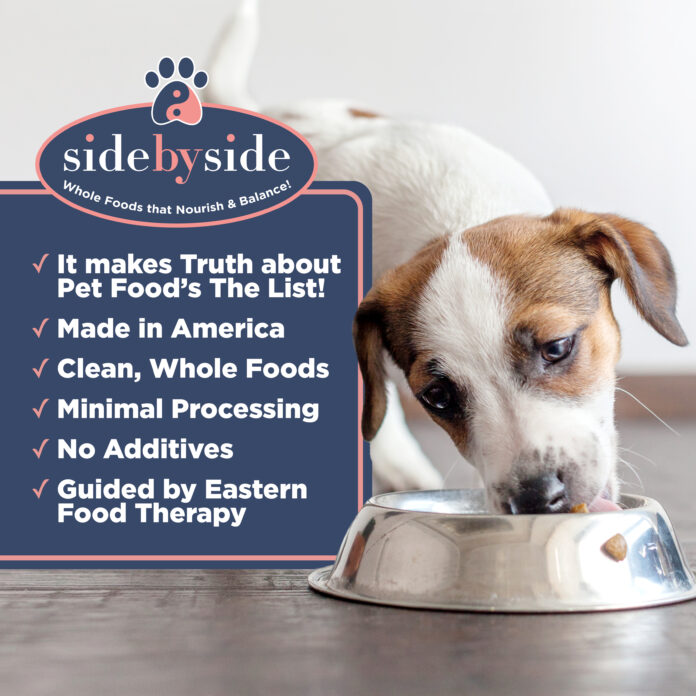 Top 6 Things to Look for in Your Dog’s Food