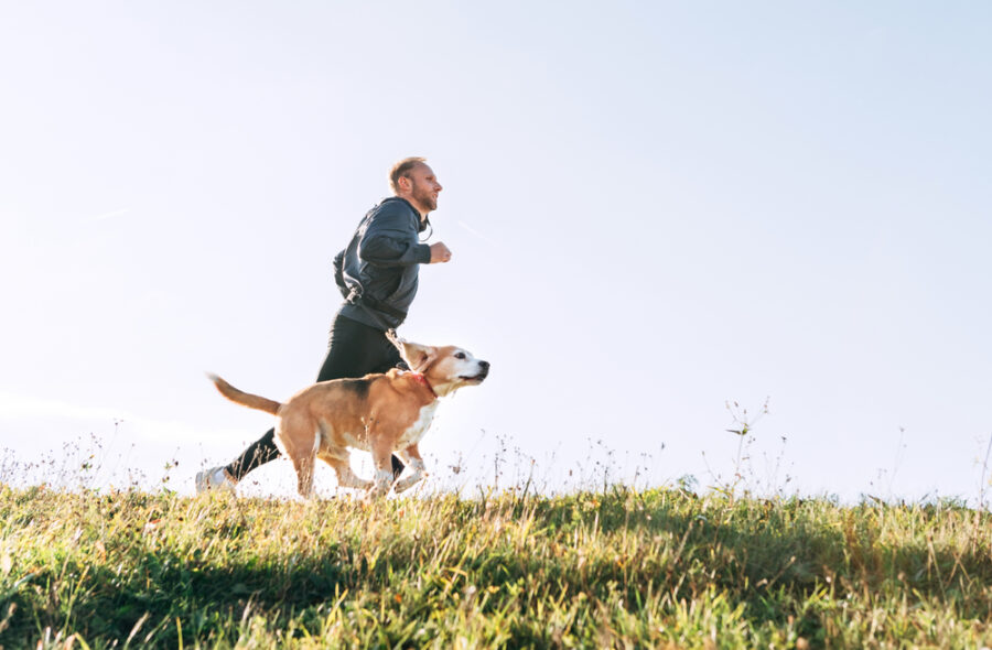 Active Folks Have Active Dogs, Says New Study