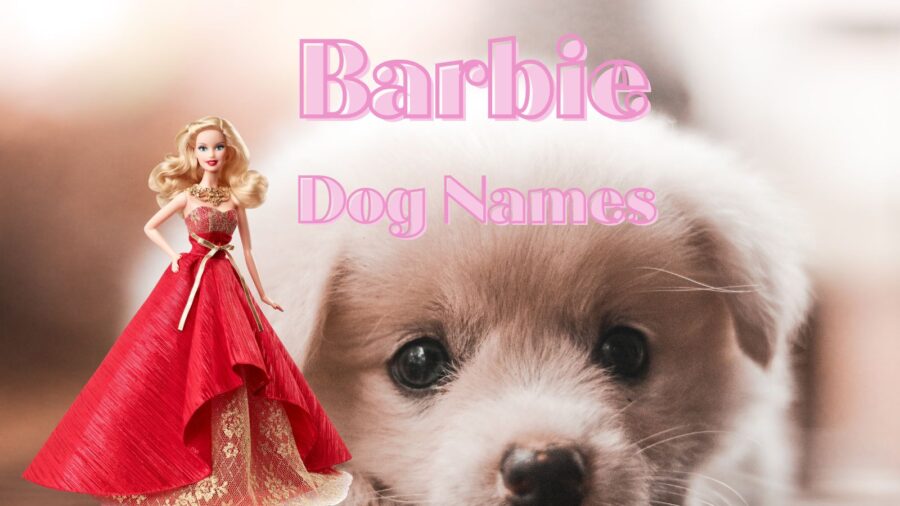 Barbie Dog Names for Your New Little Doll!