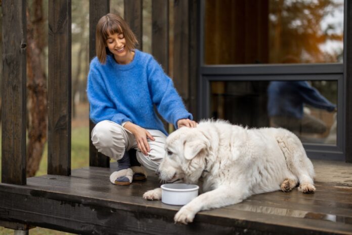 Biologically Appropriate Diets — At the Heart of Champion Petfoods