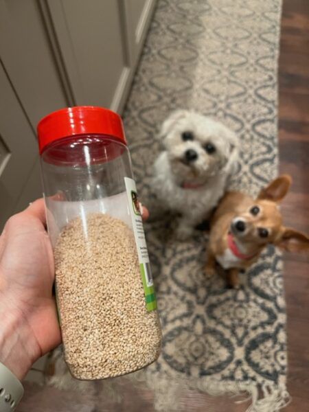 Can Dogs Eat Sesame Seeds?