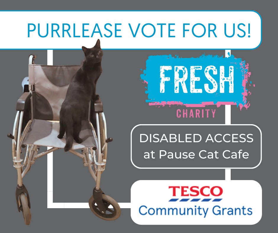 Disabled Access for cat Cafe – Fresh Charity Calls for Votes in Tesco Token Scheme