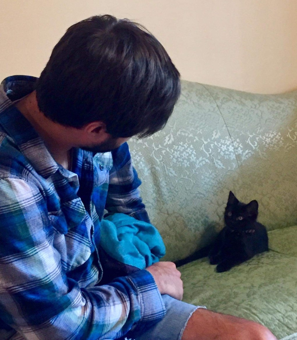 Guest Cat Star: Story of the Birthday Gift Kitty “Kuro”