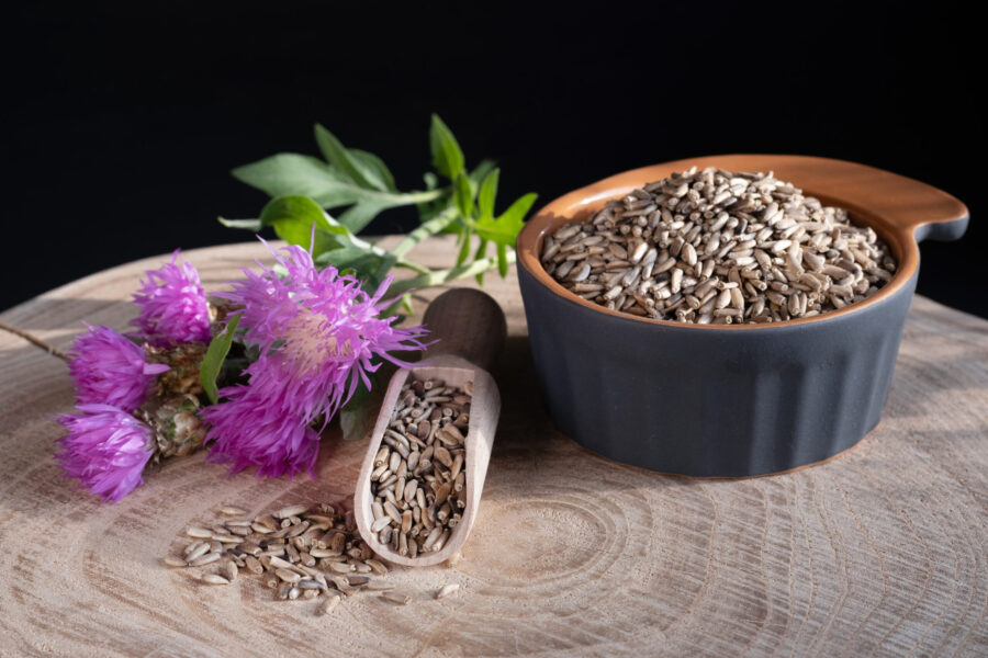 Milk Thistle — A Natural Detox Herb for Dogs and Cats