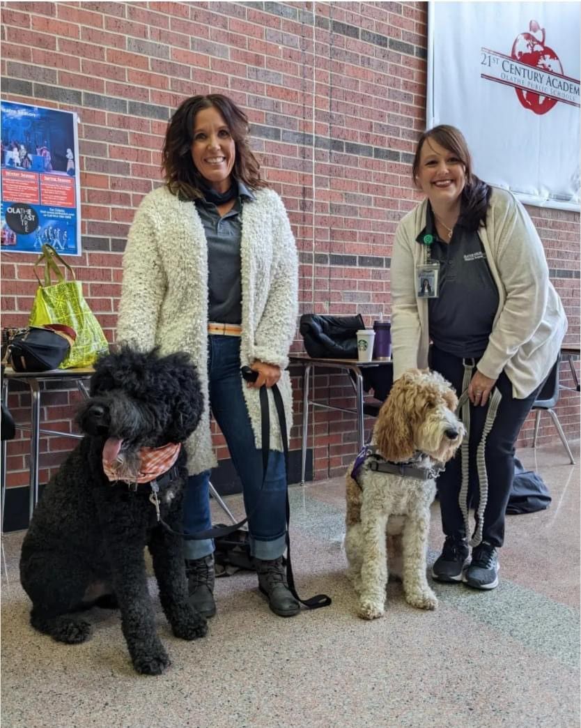 Therapy Dogs Help a Community Heal After School Tragedy