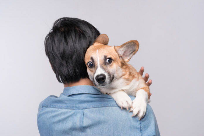 Teach Your Dog Not to Fear Loud Noises