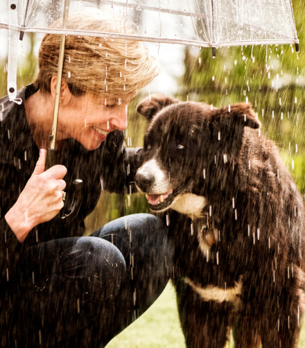 10 Best Tips for Your Dogs Paws this Monsoon Season