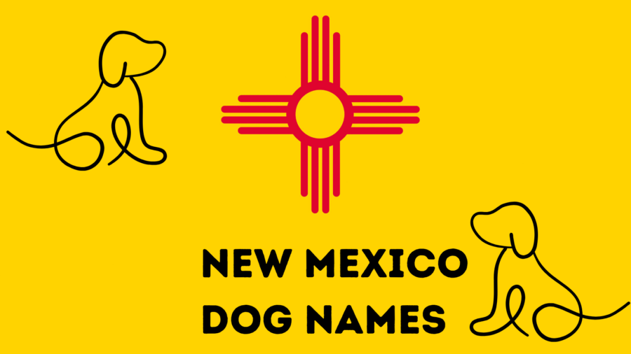 250 New Mexico Dog Names and Meanings