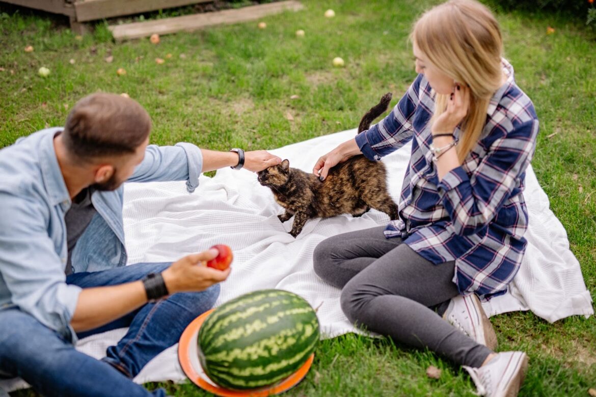 Cat-Friendly Picnic: Tips for Bonding with Your Feline Friend