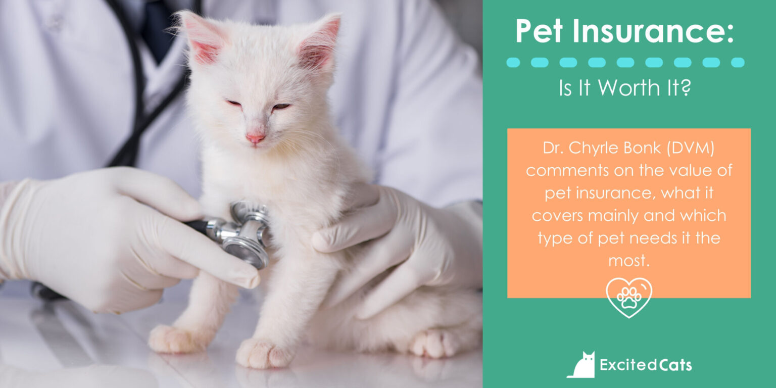 Is Pet Insurance Worth It Understanding The Benefits And Costs