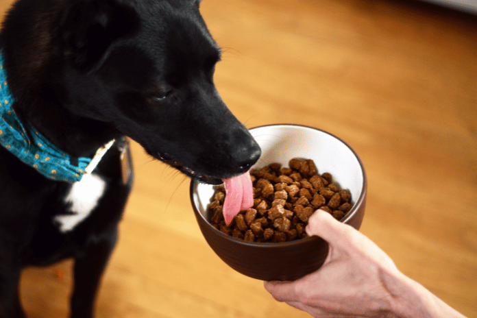 The Benefits of Air-Dried Dog Food