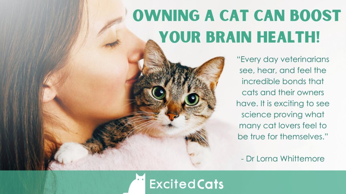 The Surprising Link Between Cat Ownership and Brain Health