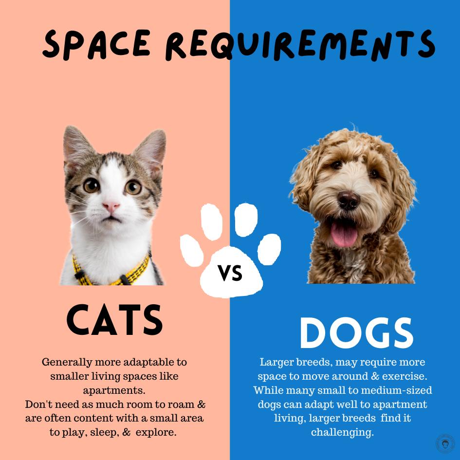 Dogs versus Cats which one is more suited to apartment & city life?