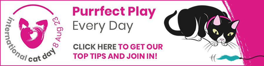 Engage in ‘Purrfect Play Every Day’ for International Cat Day with Leading Cat Welfare Charity