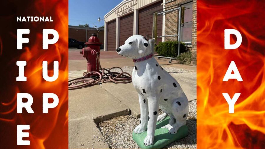 National Fire Pup Day: A Tribute to Our Four-Legged Heroes