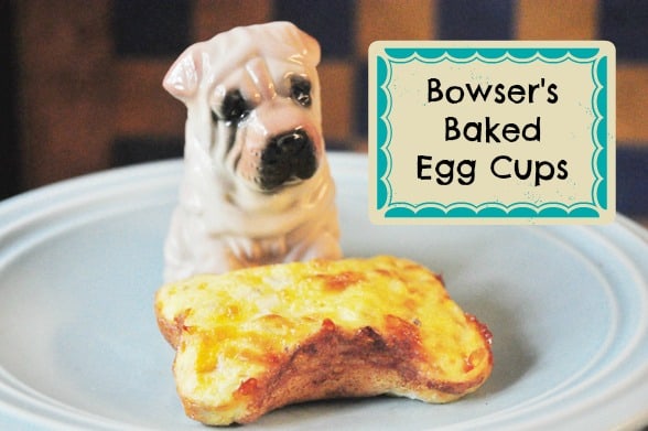 3 Easy Egg Recipes for Dogs 🍳