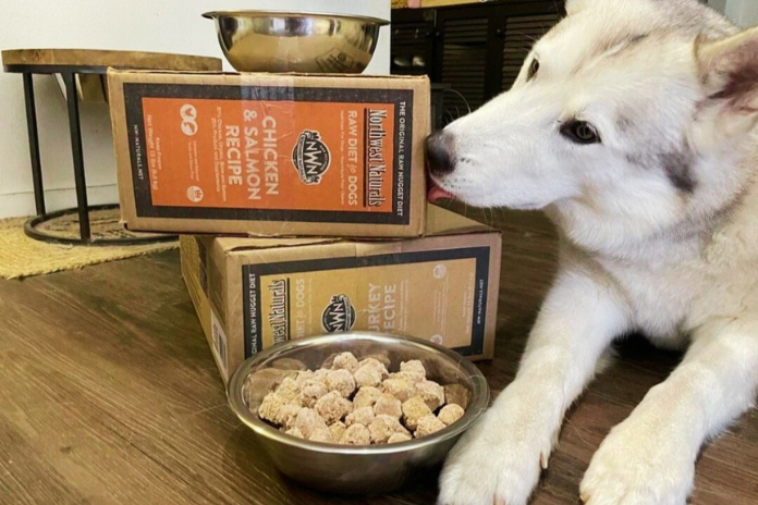 How to Get All the Benefits of Raw Food for Dogs with None of the Mess