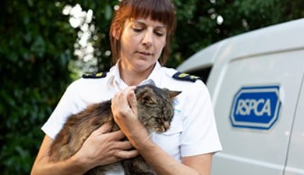Nearly 900 pets ‘kept in loving homes’ thanks to Purina x RSPCA partnership