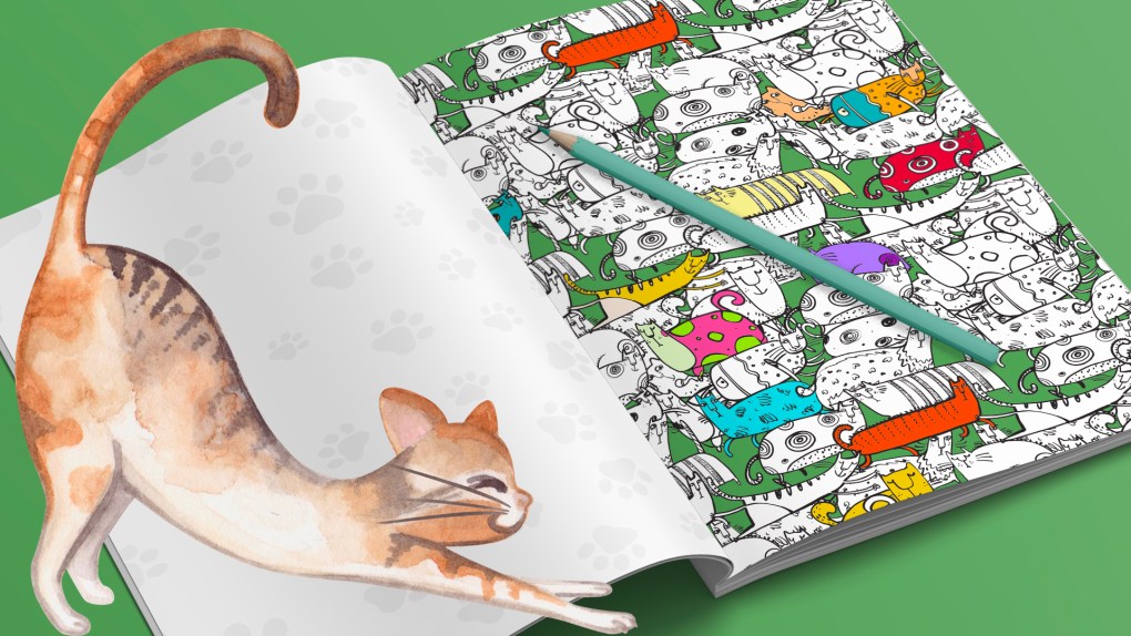 The Crazy Cat Lady’s Colouring Book for Adults: A Whimsical and Therapeutic Experience