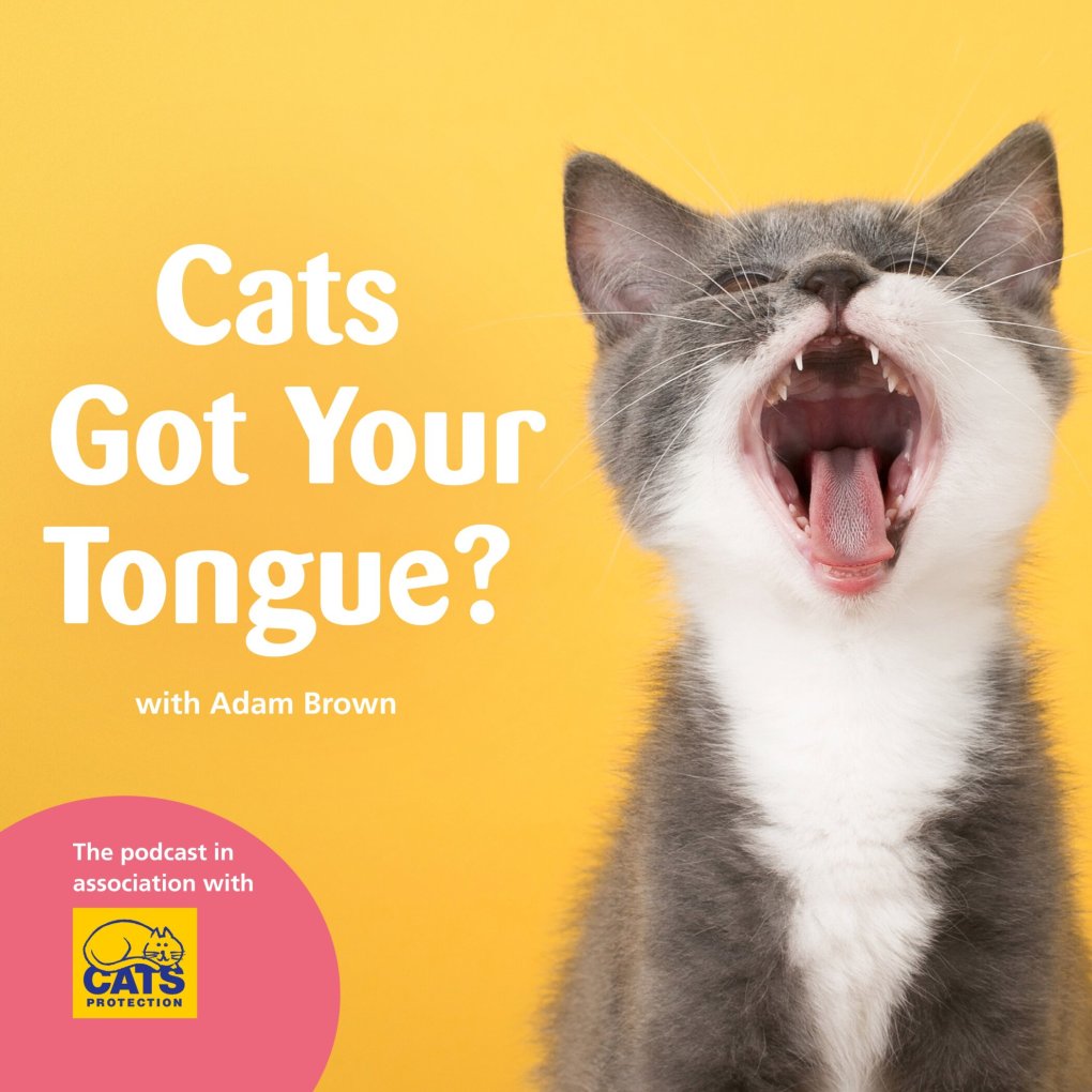 Cats Got Your Tongue? – A New Podcast with Celebrities and Cat Stories