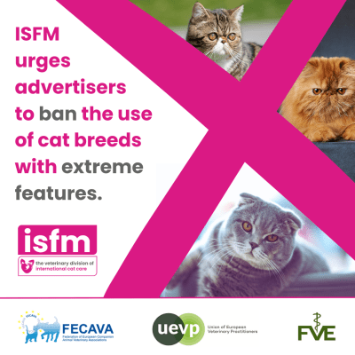 Discouraging Extreme Conformation in Cat Breeds: A Call for Responsible Advertising
